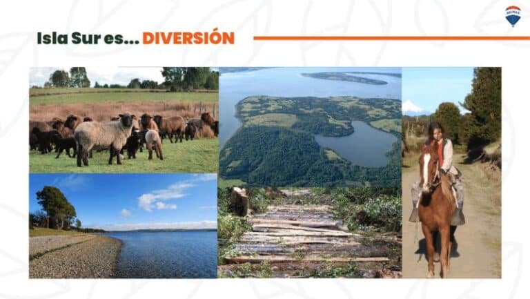 BROCHURE-ISLA-SUR-pdf-1_compressed-1-16-12-1 (1)